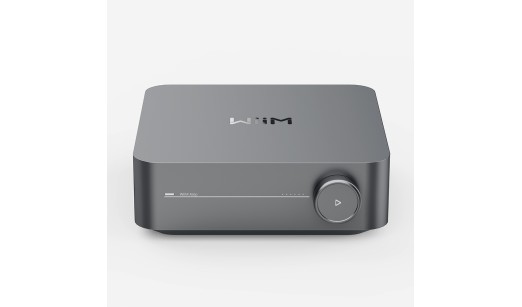 WIIM: WIIM AMP